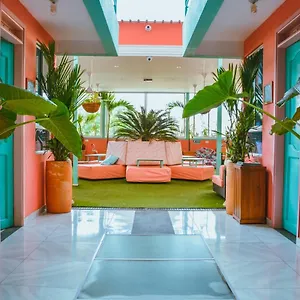  Hostel Flamingo & Coworking Kolumbien