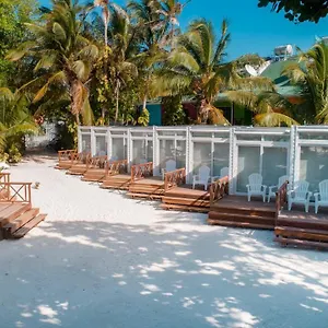 https://hotel-reina-del-mar-by-el-dorado.sanandreshotels.com